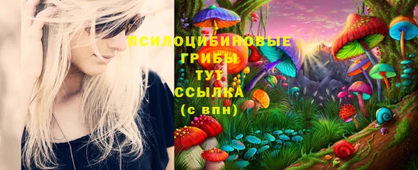 кристаллы Алзамай