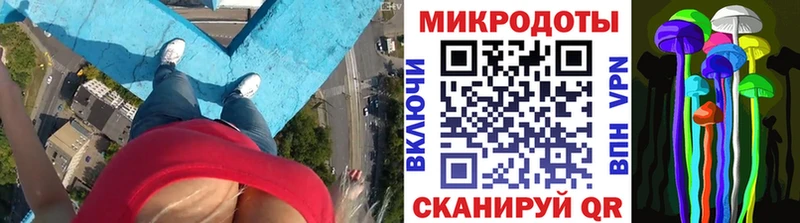где найти   Комсомольск  Галлюциногенные грибы Cubensis 